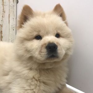 Meet your Posher, Katrina